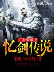 忆剑传说全文在线阅读，忆剑传说小说免费版-优文网