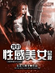 我的性感美女总裁免费阅读