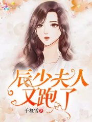 小说《辰少夫人又跑了》全文免费阅读-锤石文学