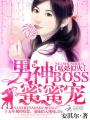 小说《暖婚似火：男神boss，蜜蜜宠》全文免费阅读-锤石文学