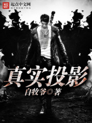 真实投影全文在线阅读，真实投影小说免费版-优文网