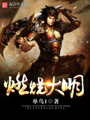 燃烧大明免费阅读
