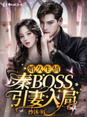 婚久生情：秦BOSS引妻入局免费阅读