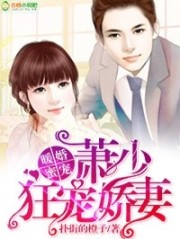 小说《暖婚蜜宠：萧少狂宠娇妻》全文免费阅读-锤石文学