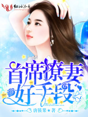 首席撩妻，好手段免费阅读