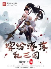 小说《缤纷缭落乱三国》全文免费阅读-锤石文学