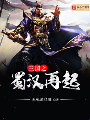 三国之蜀汉再起免费阅读