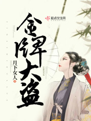 金牌大盗免费阅读