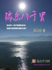 小说《锦乐八千里》全文免费阅读-锤石文学