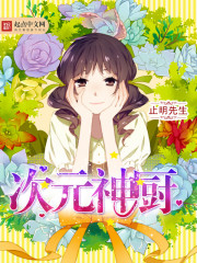 次元神厨免费阅读