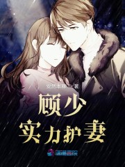顾少实力护妻全文在线阅读，顾少实力护妻小说免费版-优文网