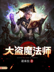 大盗魔法师免费阅读