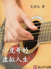 小虎哥的虚拟人生免费阅读