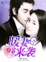 重生暖妻来袭免费阅读