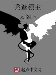 秃鹫领主全文在线阅读，秃鹫领主小说免费版-优文网