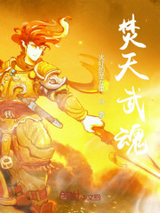 焚天武魂免费阅读
