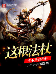 这根法杖才不是自拍杆免费阅读