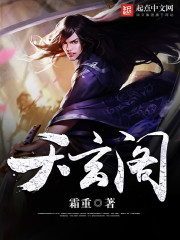 天玄阁全文在线阅读，天玄阁小说免费版-优文网