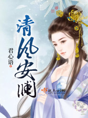 清风安澜免费阅读