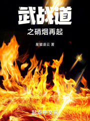 武战道之硝烟再起免费阅读