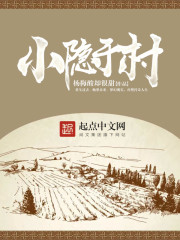 小隐于村免费阅读