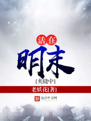 活在明末夹缝中免费阅读