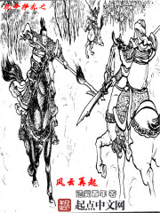 小说《玩命挣扎之风云再起》全文免费阅读-锤石文学