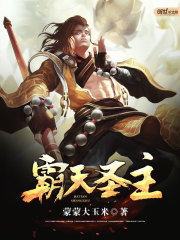 霸天圣主免费阅读