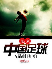 小说《起来！中国足球》全文免费阅读-锤石文学