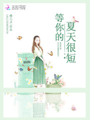 小说《等你的夏天很短》全文免费阅读-锤石文学