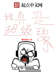 我真是超级玩家免费阅读