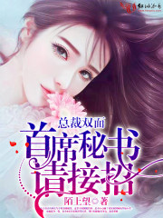 总裁双面：首席秘书，请接招免费阅读