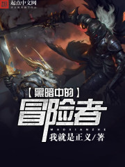 黑暗中的冒险者免费阅读