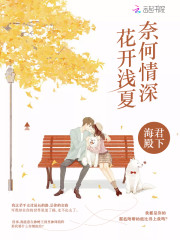花开浅夏奈何情深全文在线阅读，花开浅夏奈何情深小说免费版-优文网