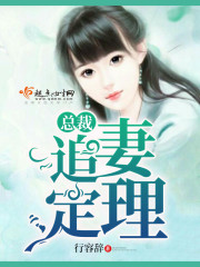 总裁追妻定理全文在线阅读，总裁追妻定理小说免费版-优文网