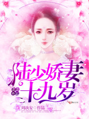 念念不忘：陆少娇妻十九岁免费阅读