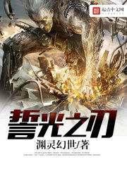 誓光之刃全文在线阅读，誓光之刃小说免费版-优文网