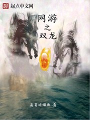 网游之双龙免费阅读