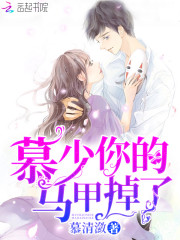 慕少你的马甲掉了免费阅读