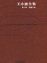王小波全集（第八卷）