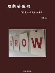 理想的激励（优秀人才成长方案）