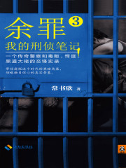 余罪3：我的刑侦笔记