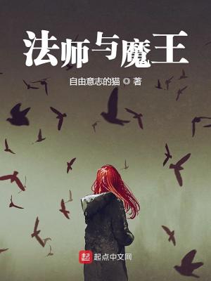 法师与魔王