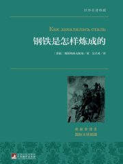 钢铁是怎样炼成的