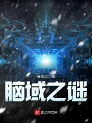 脑域之谜