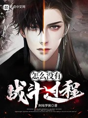 怎么没有战斗过程