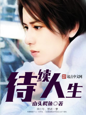 待续人生