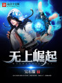 无上崛起封面图