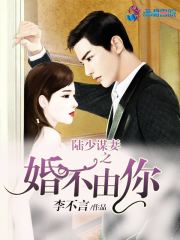 陆少谋妻：婚不由你