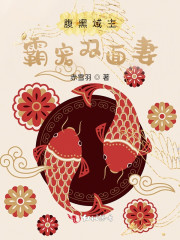 腹黑域主霸宠双面妻